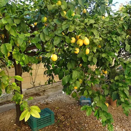 Il Giardino Del Corso Apartment
