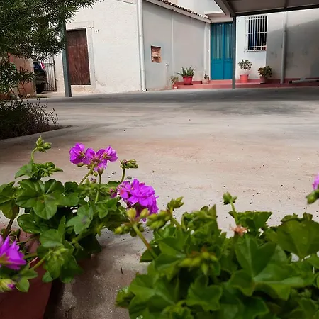 Il Giardino Del Corso *